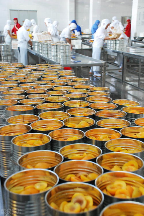 某罐頭廠食品加工廢水COD超標(biāo)原因分析及治理對(duì)策——以水果配送環(huán)節(jié)為切入點(diǎn)
